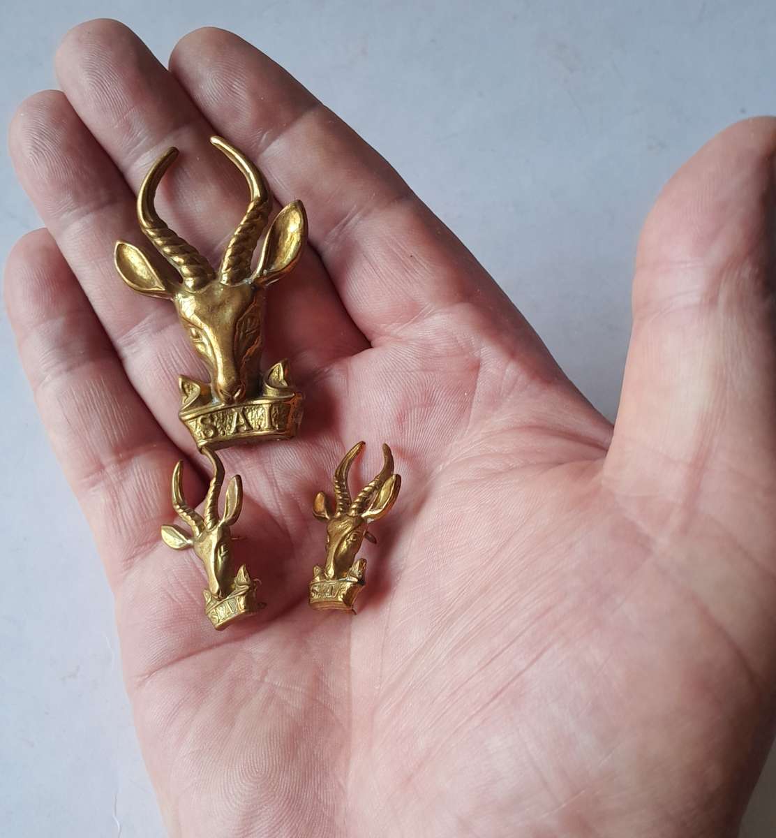 SA Army Infantry "Bok Kop" Badge Set.  Lugs and Pins Intact.