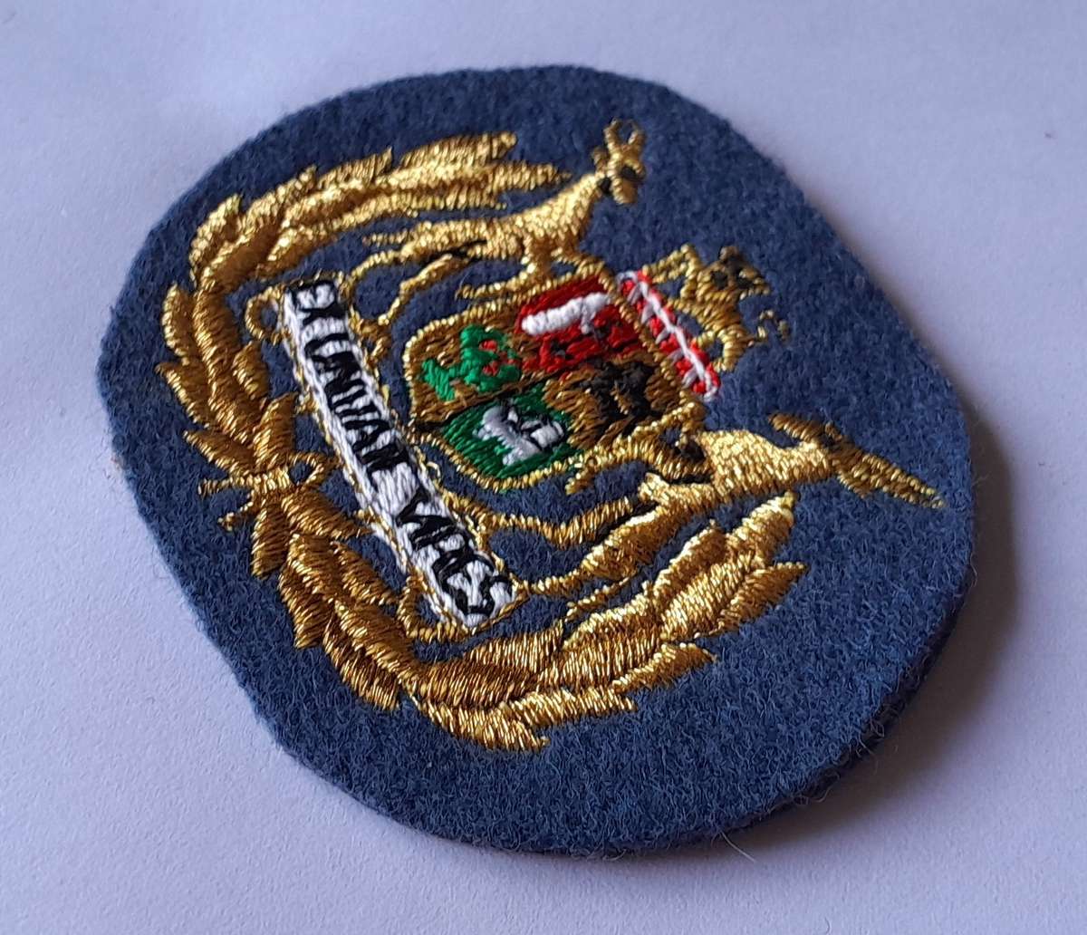 SA Air Force Warrant Officer Class 1 Rank Badge.