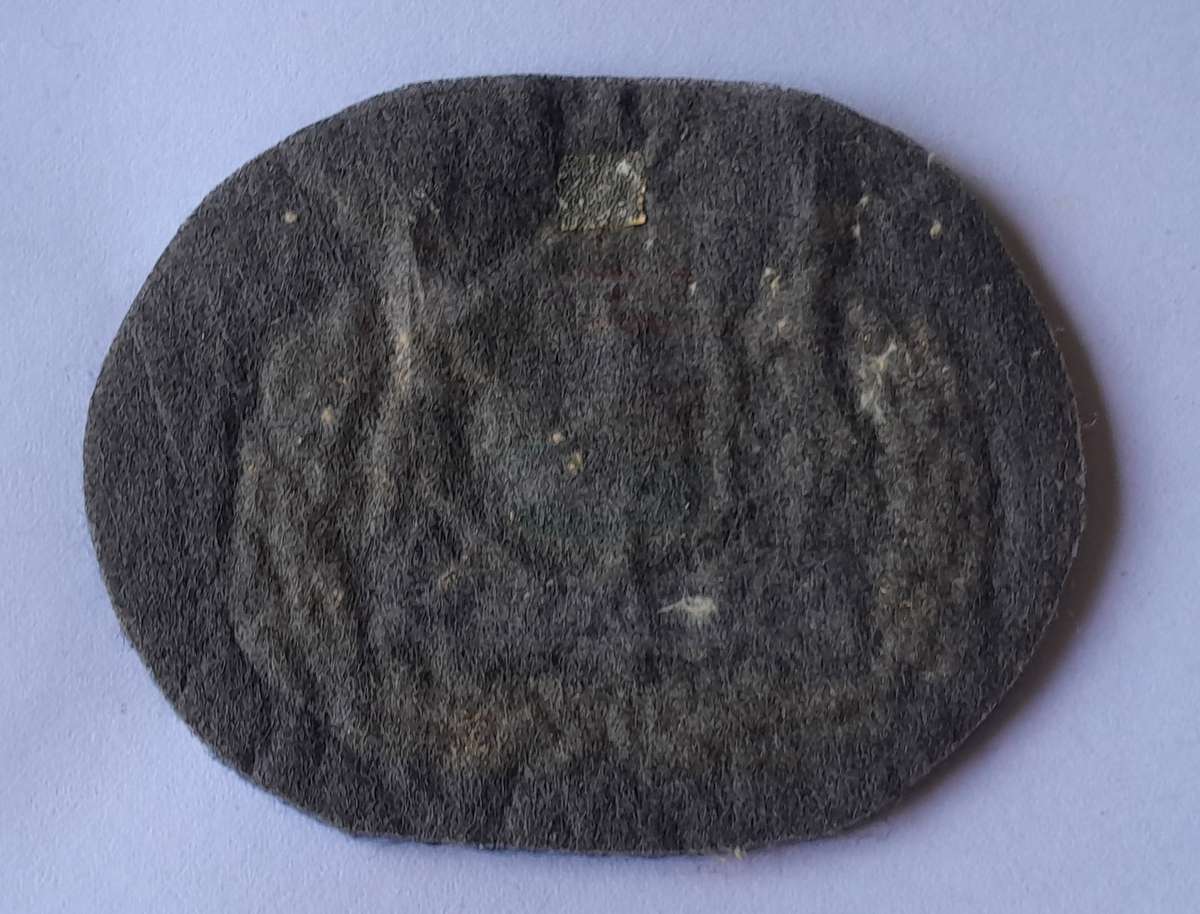 SA Air Force Warrant Officer Class 1 Rank Badge.