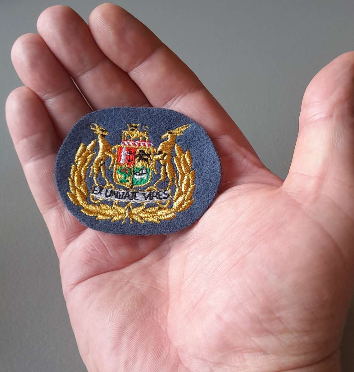 SA Air Force Warrant Officer Class 1 Rank Badge.