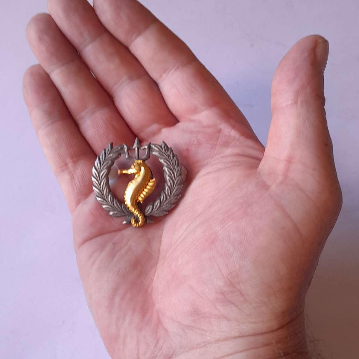 SA Navy Independent Ships & Air/Sea Rescue Flotilla Breast Badge.  Pins Intact.