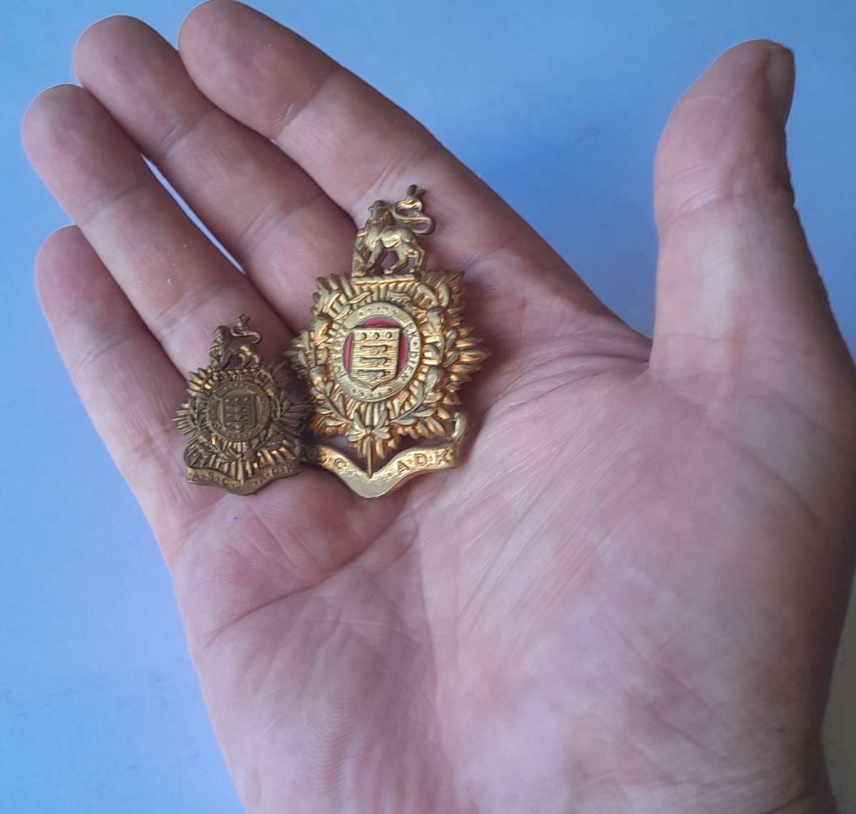 SA Army Service Corps Badge Set.  Cap & Collar.  Lugs Intact.