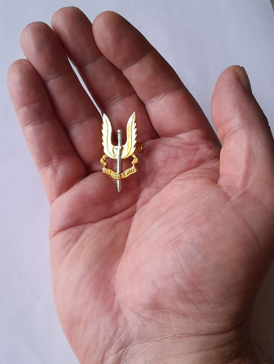 Rhodesian SAS Special Air Service Beret Badge.  Lugs Intact.