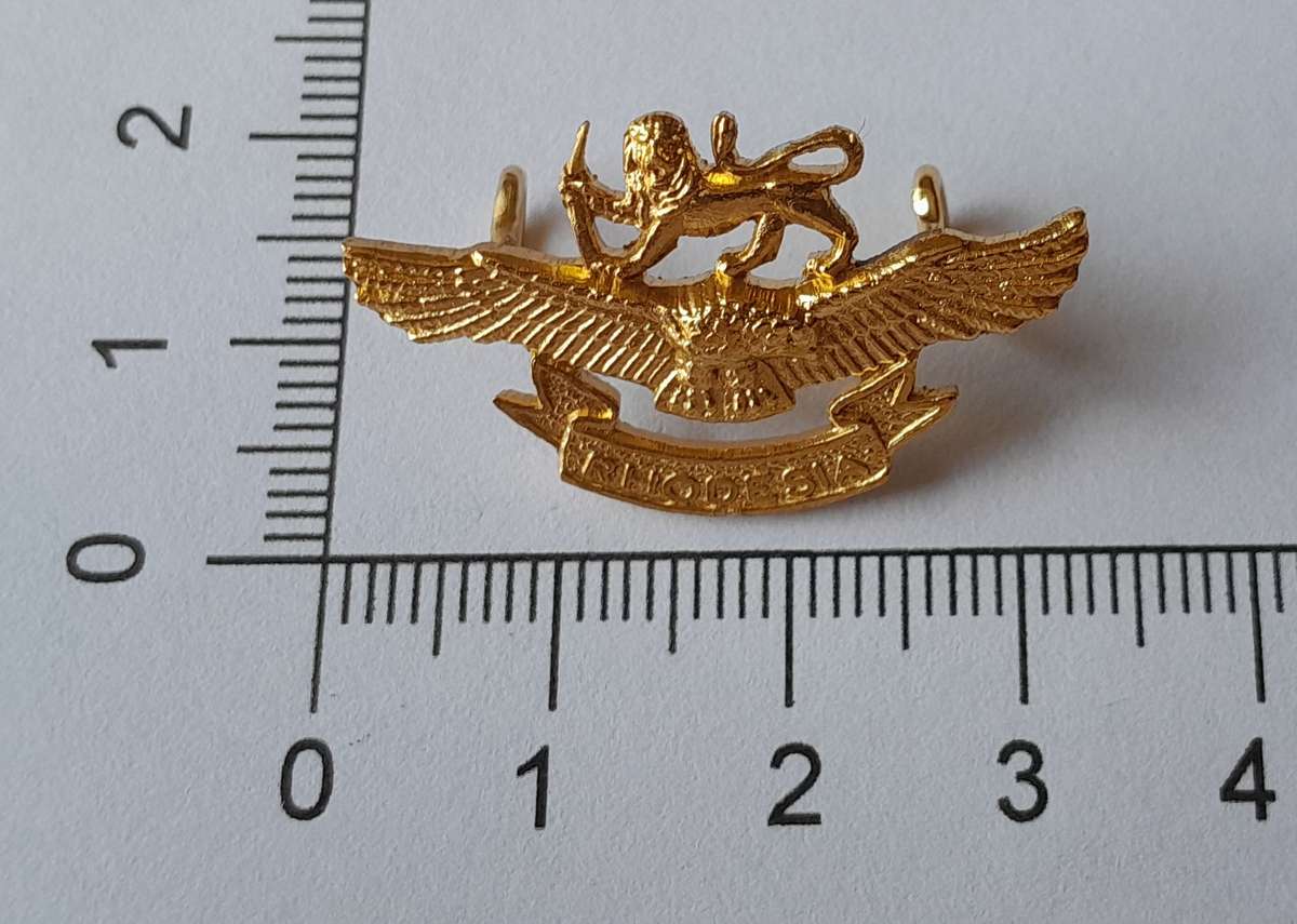 Rhodesian Air Force Badge.  Lugs Intact.