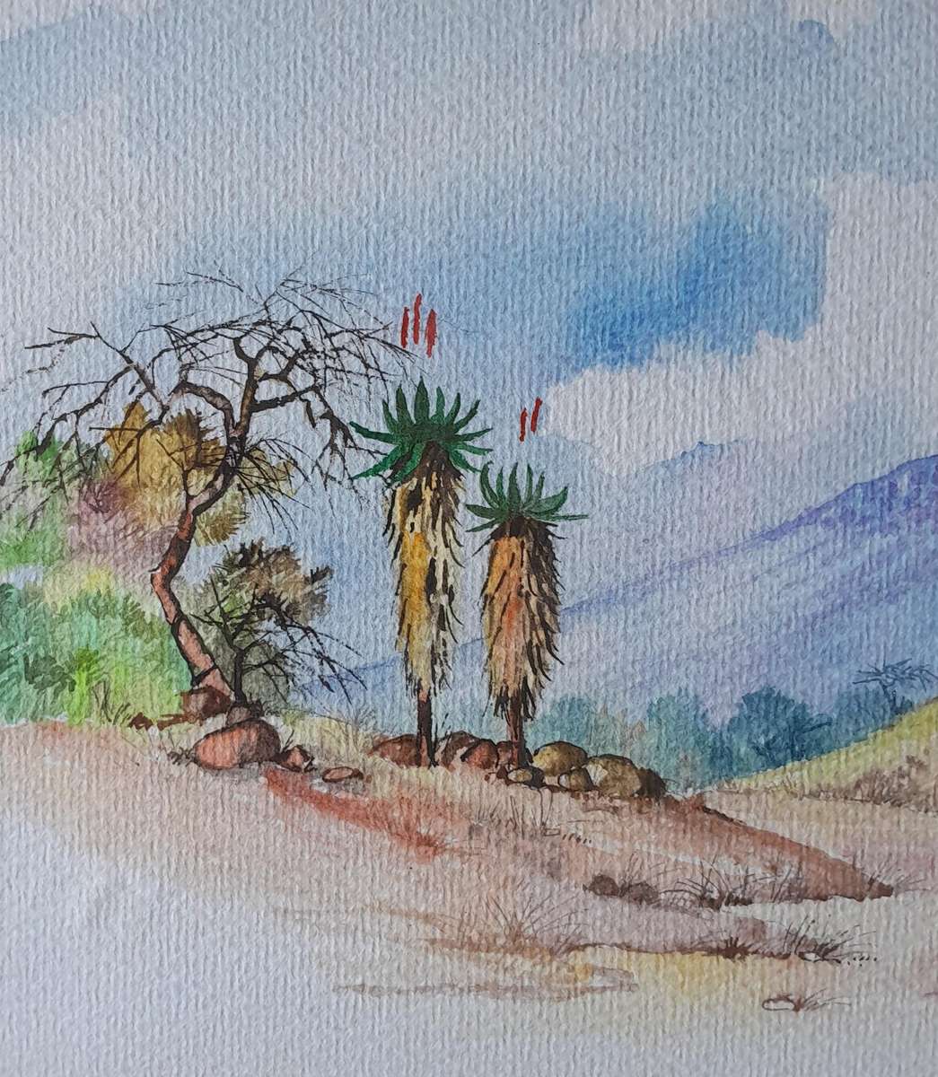 SA Artist Elize Heyneke Framed Watercolour.  "Aloes".  Signed and Dated.  47.5 x 33cm