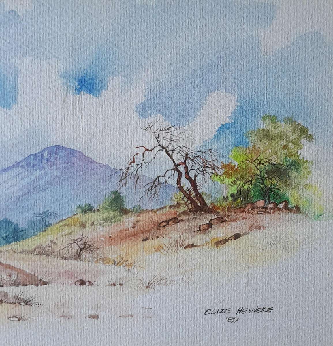 SA Artist Elize Heyneke Framed Watercolour.  "Aloes".  Signed and Dated.  47.5 x 33cm