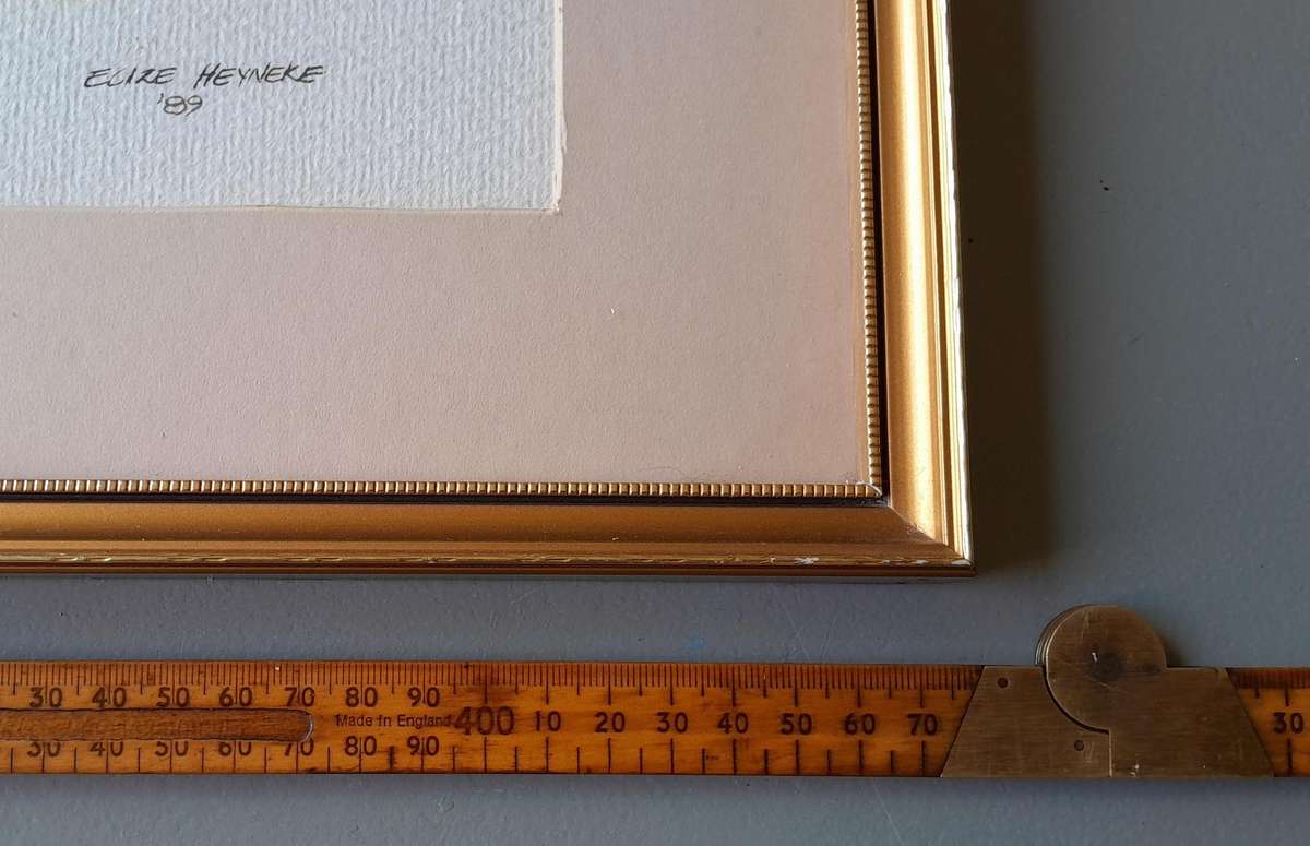 SA Artist Elize Heyneke Framed Watercolour.  "Aloes".  Signed and Dated.  47.5 x 33cm