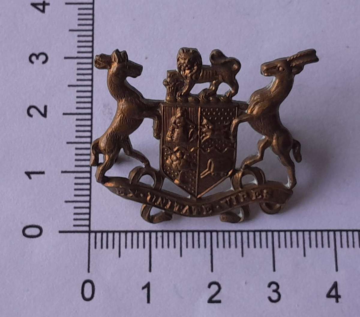 SADF Warrant Office Rank Badge.  Compressed Lugs.