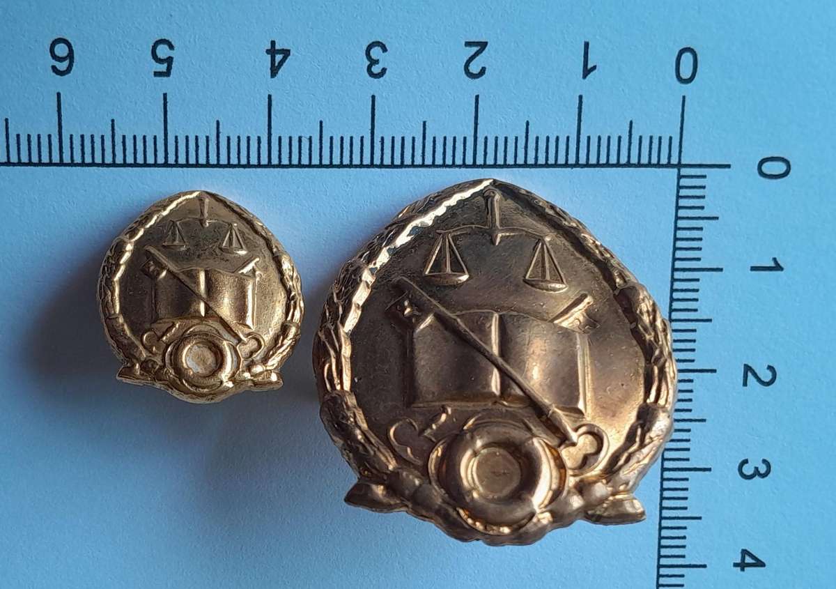 Vintage SA Prison Service Badges.  Cap & Collar.  Lugs & Pins Intact.