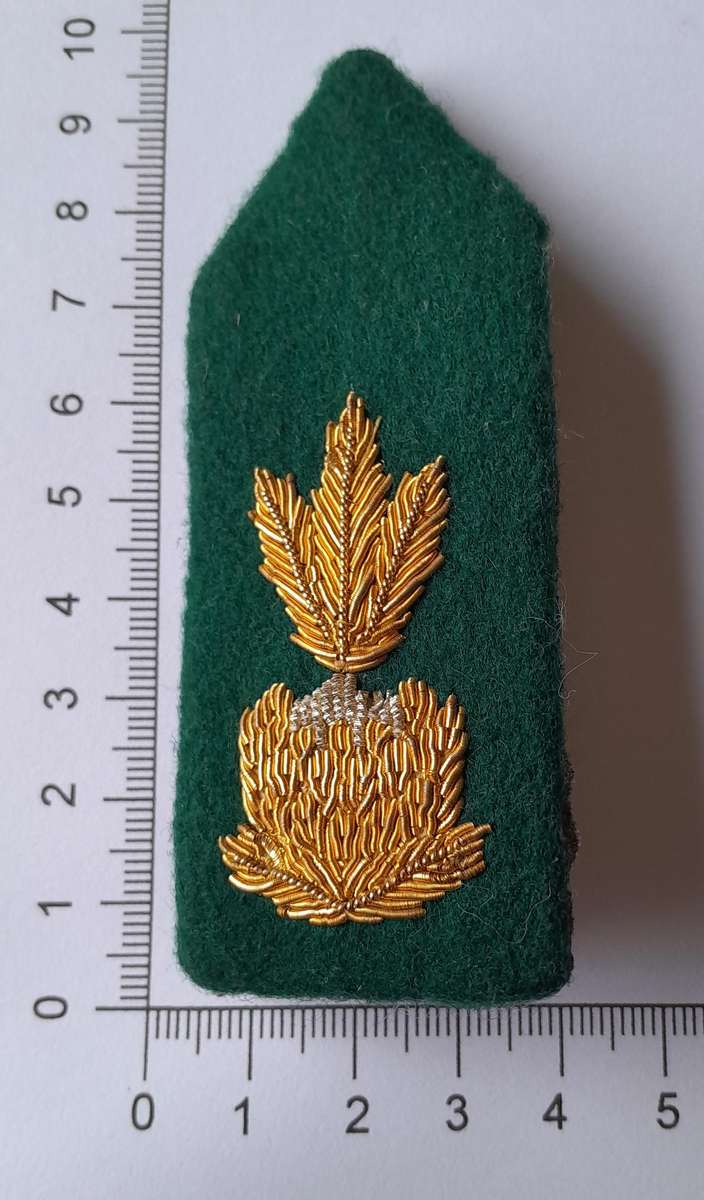 Vintage SA Prison Service Officers Gorget.  Pin Intact.