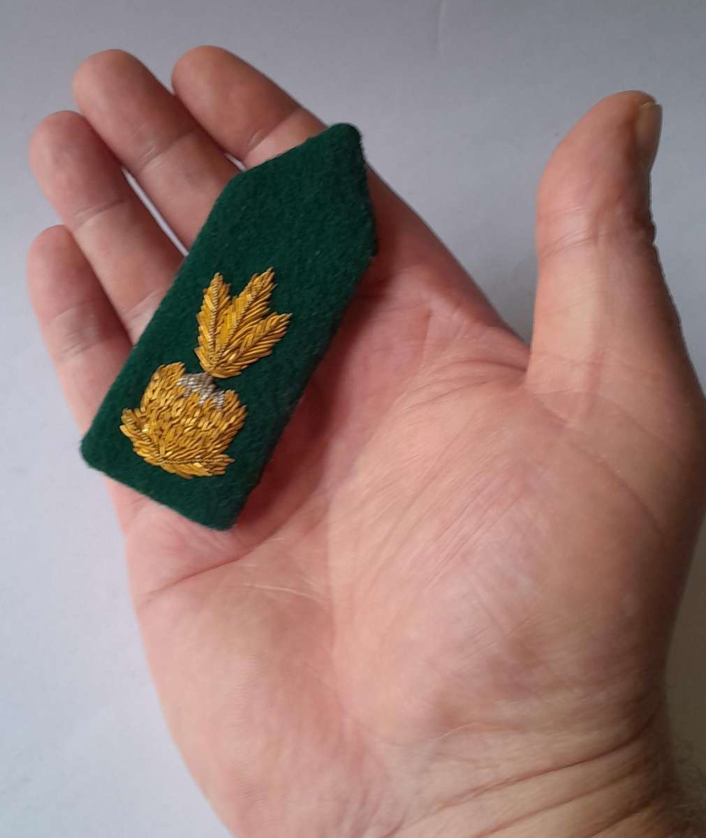 Vintage SA Prison Service Officers Gorget.  Pin Intact.