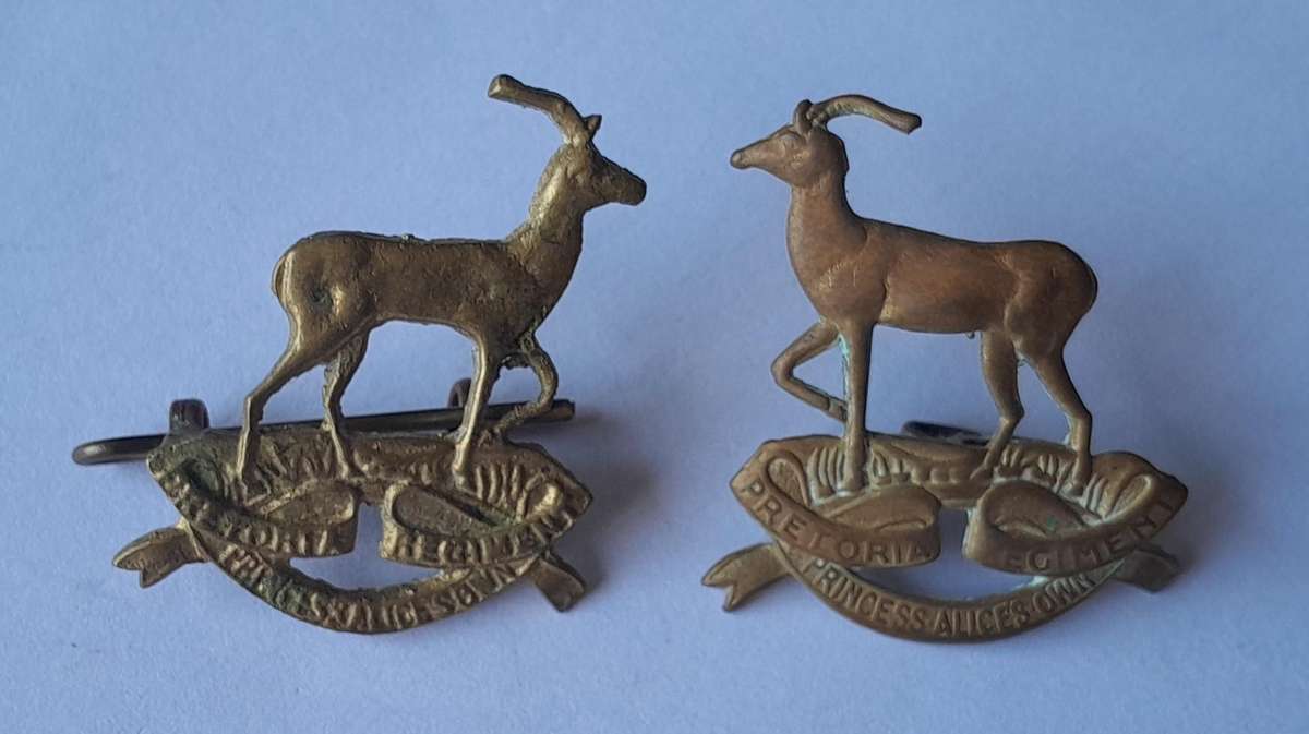 Pair SADF Pretoria Regiment (Princess Alice's Own) Collar Badges.  Lugs Intact.
