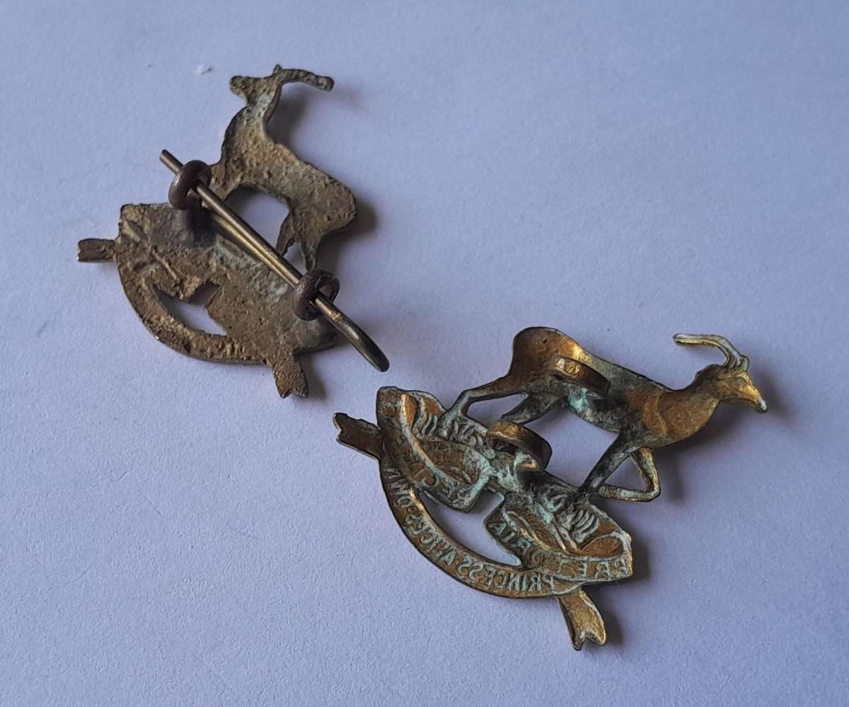 Pair SADF Pretoria Regiment (Princess Alice's Own) Collar Badges.  Lugs Intact.