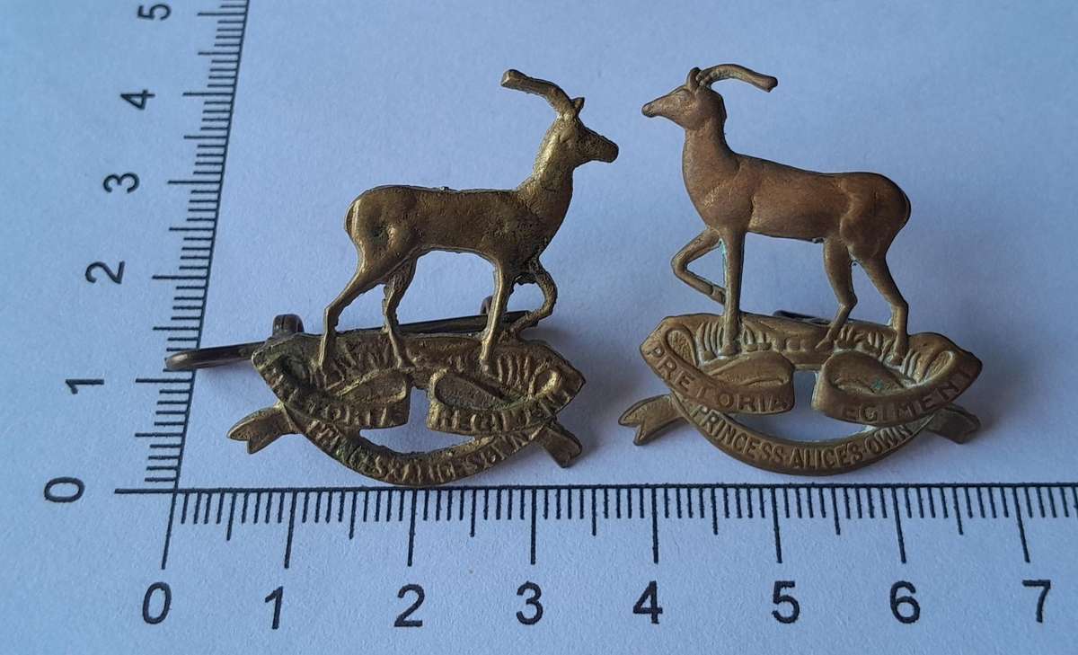 Pair SADF Pretoria Regiment (Princess Alice's Own) Collar Badges.  Lugs Intact.