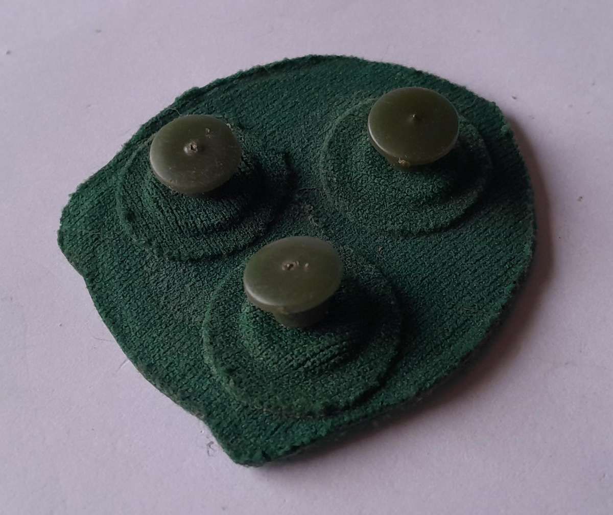 Vintage SA Prison Services Badge.  Pins Intact.