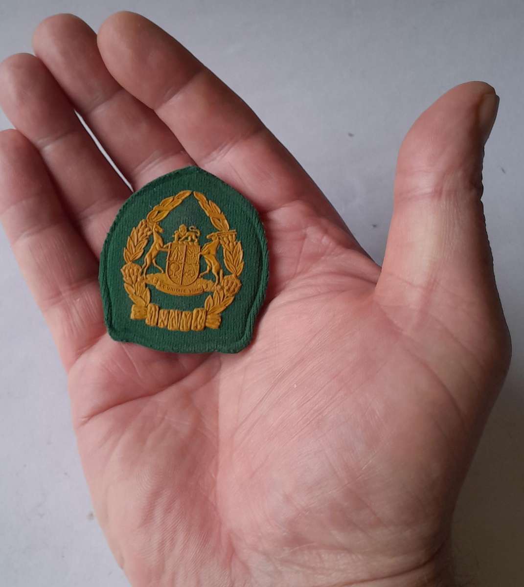 Vintage SA Prison Services Badge.  Pins Intact.