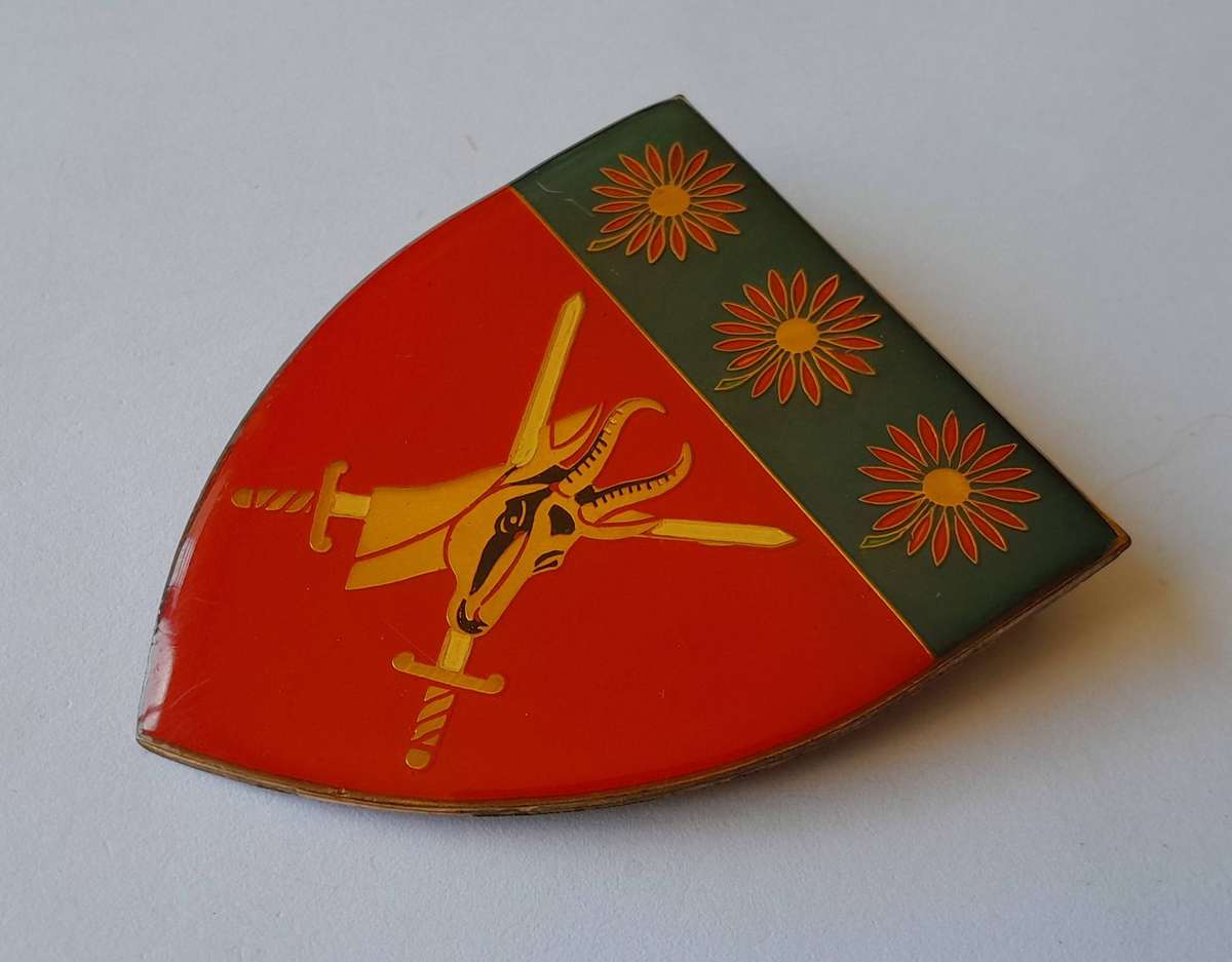SADF Northern Transvaal Command Shoulder Flash.  2 Pins Intact.
