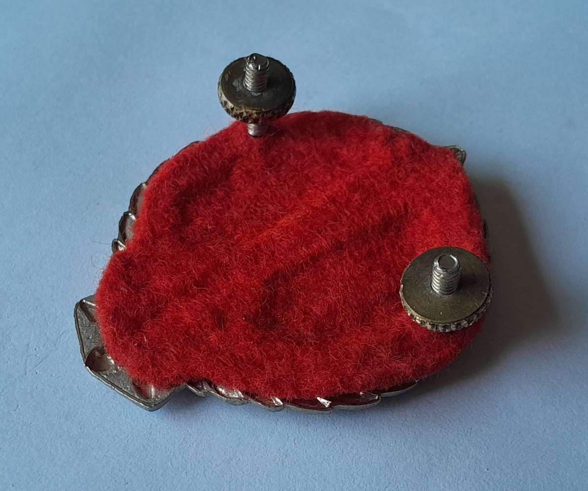 SADF Regiment Hillcrest Beret Badge.  Screw Lugs Intact.