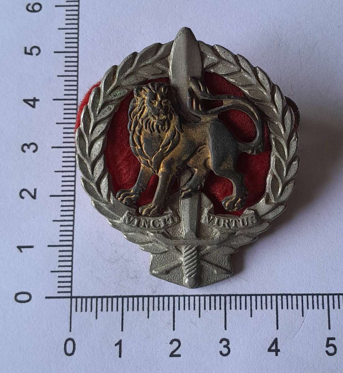 SADF Regiment Hillcrest Beret Badge.  Screw Lugs Intact.