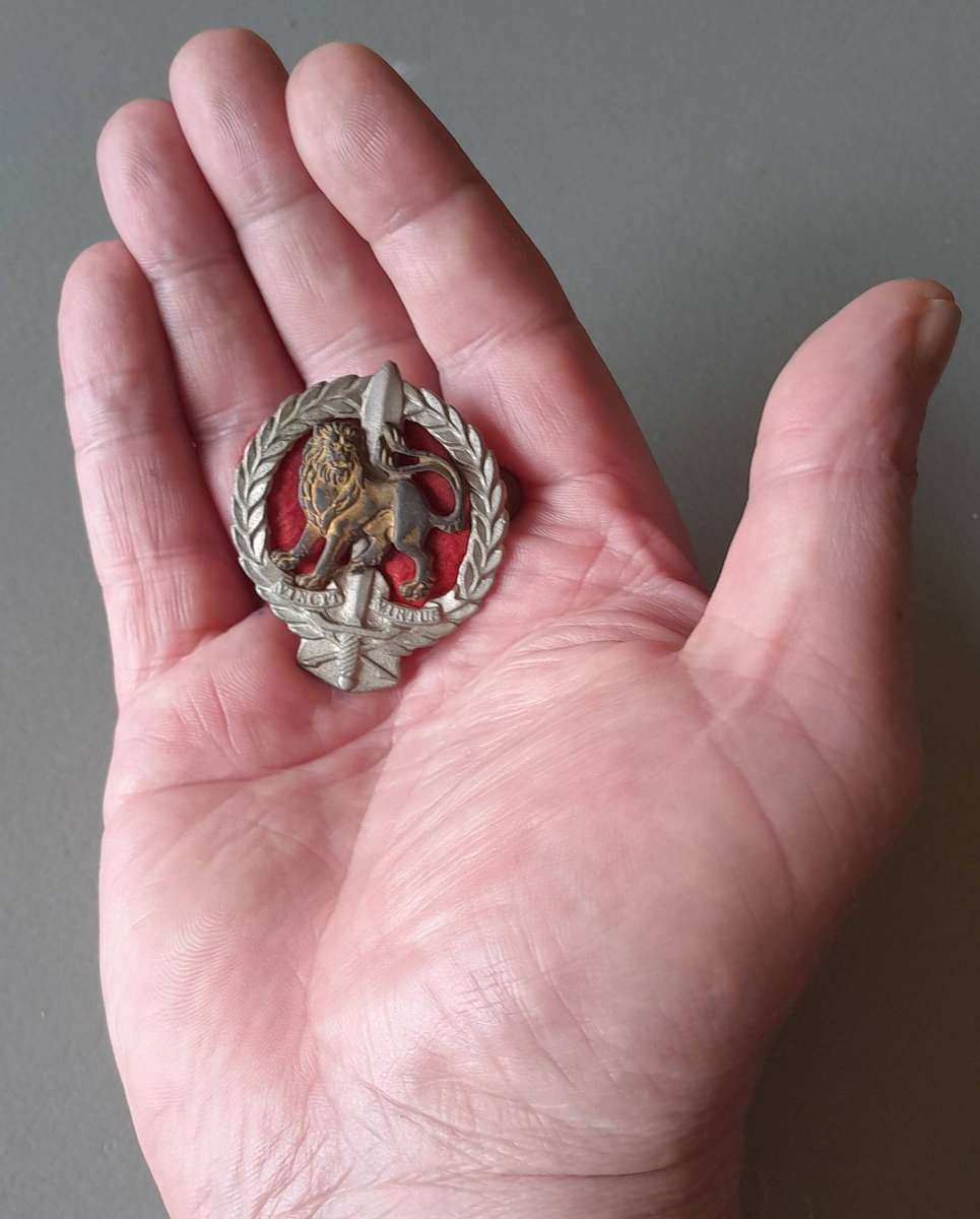 SADF Regiment Hillcrest Beret Badge.  Screw Lugs Intact.