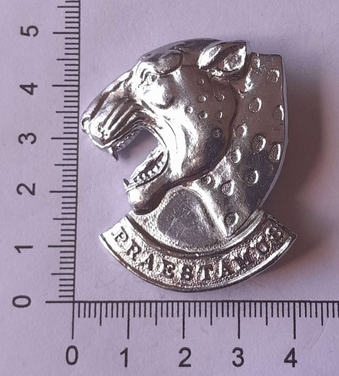 SADF 121 Battalion Cap Badge.  Lugs Intact (Shortened).