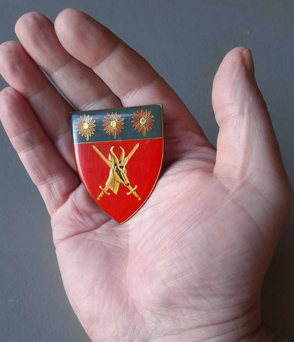 SADF Northern Transvaal Command Shoulder Flash.  2 Pins Intact.