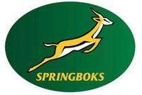 Springboks Champions T-Shirt White 3XL, Braai Apron and Tattoos