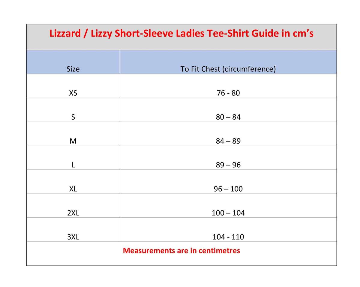 Lizzard ladies short-sleeve tee shirts x 2  Large