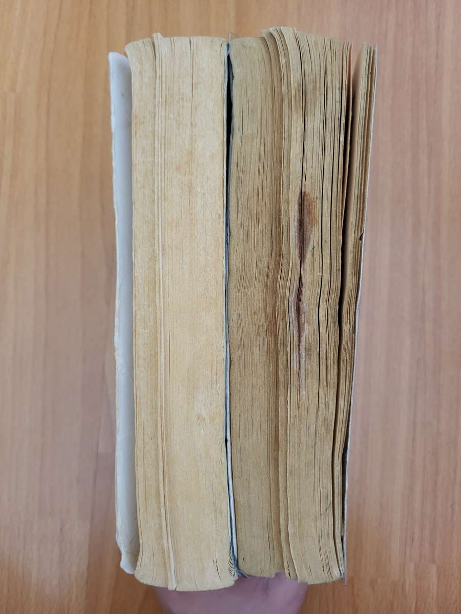 TEEN BOOK LOT | 2 × Spud + Other Books