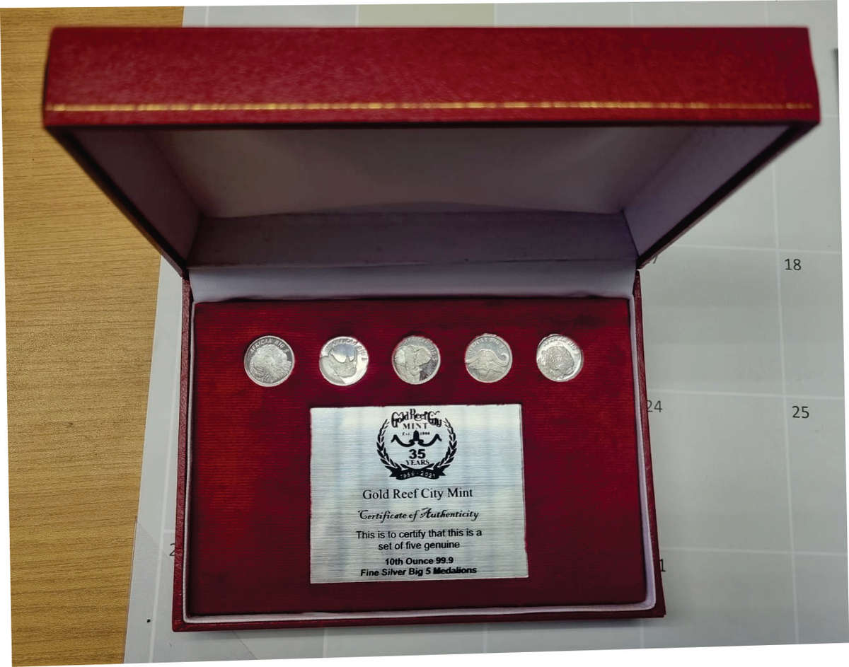 Set of 5 x 1/10th oz Big Five medallions