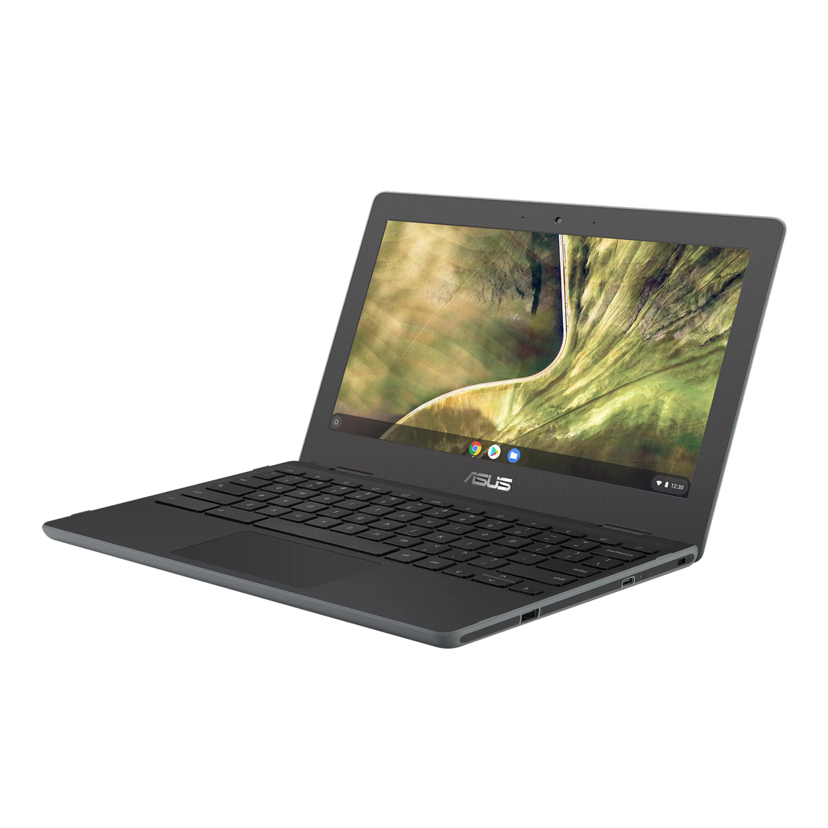 Asus C204MA-BU0327 11.6