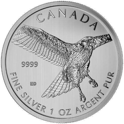 Canadian 1oz Silver Coin Red-tailed Hawk 2015 in Capsule
