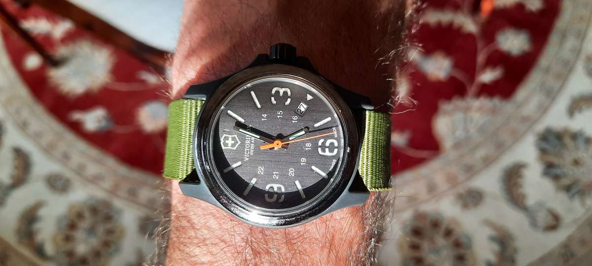 Timeless Field Watch Set
