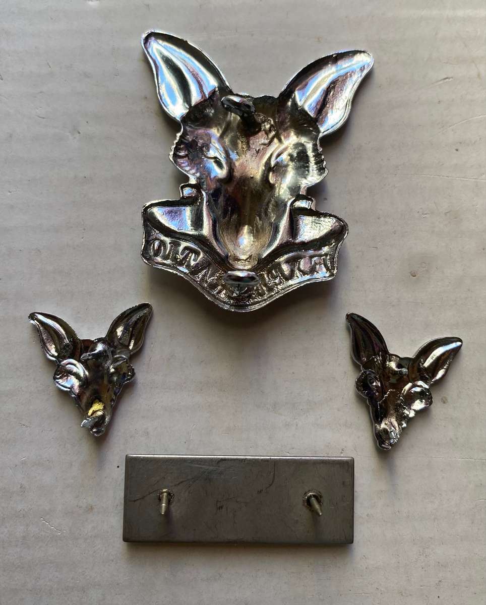 SA Intelligence Corps cap badge and collar badge with Bar All Pins