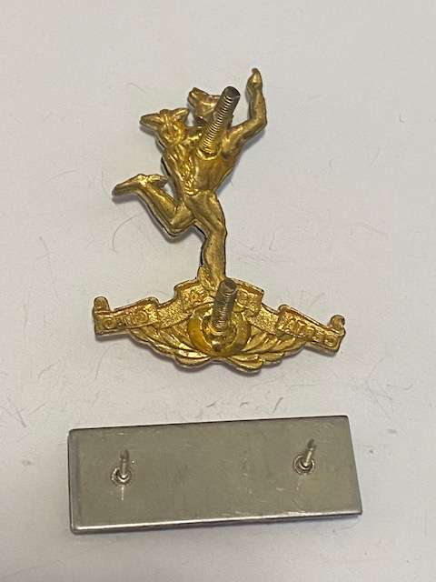 SADF Signal Corps Beret Badge and Bar.