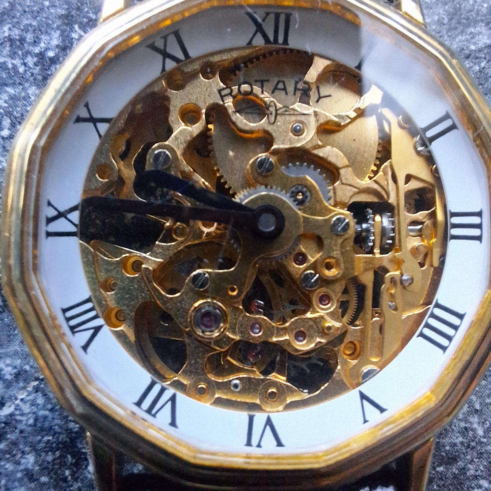 Rotary mechanical watch