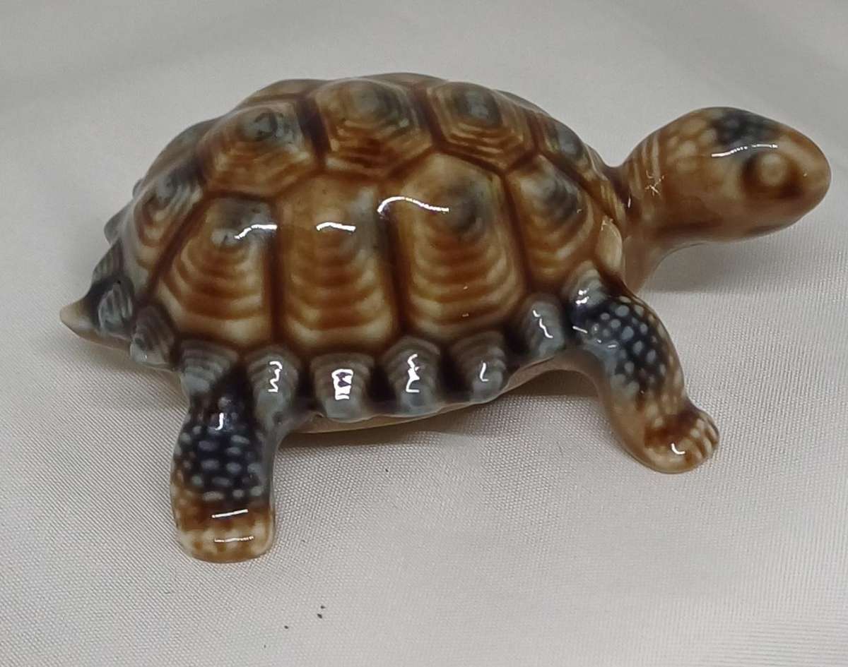 Wade tortoise