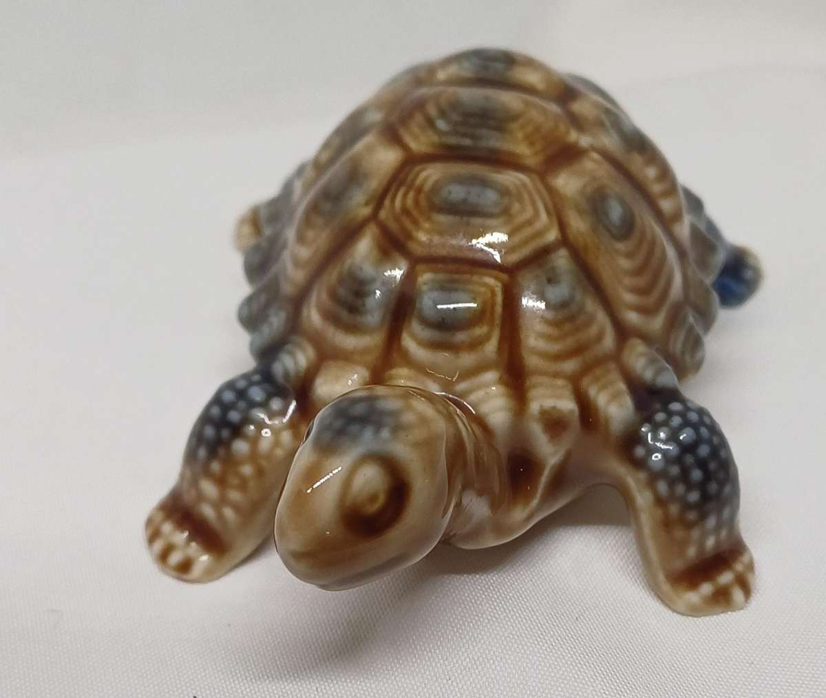 Wade tortoise