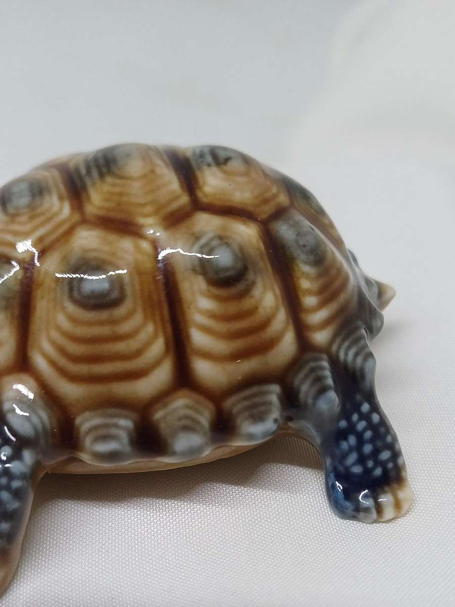 Wade tortoise