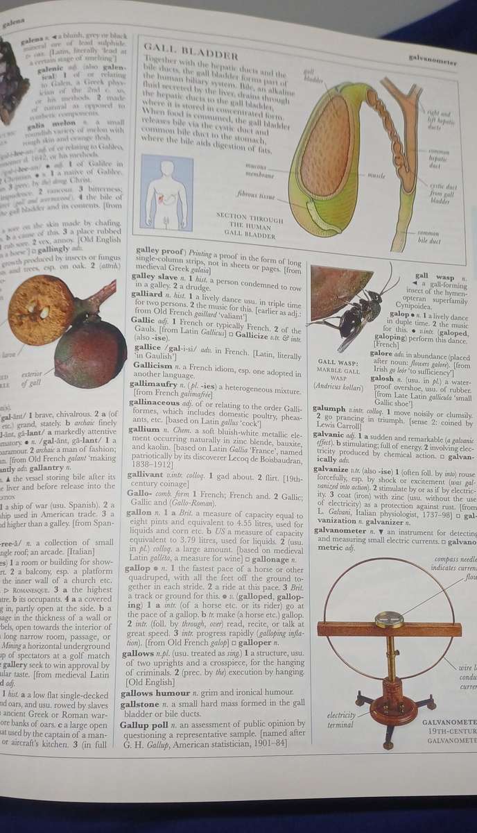Illustrated Oxford Dictionary