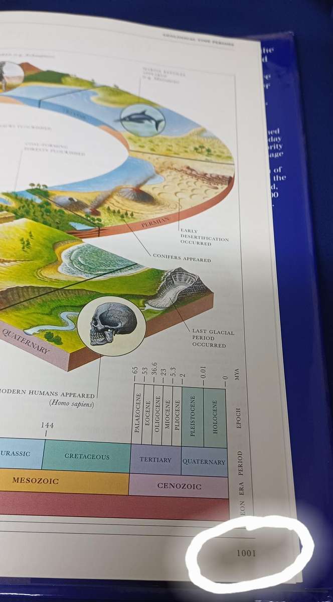 Illustrated Oxford Dictionary