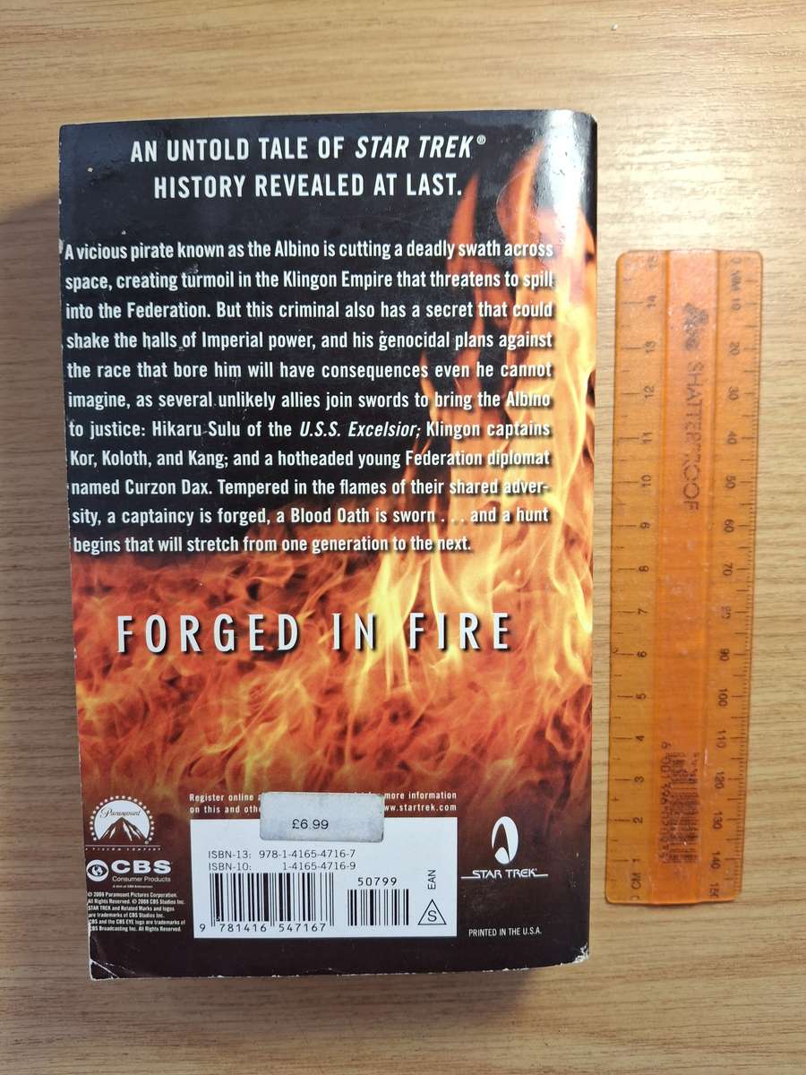 Star Trek Excelsior: Forged in Fire