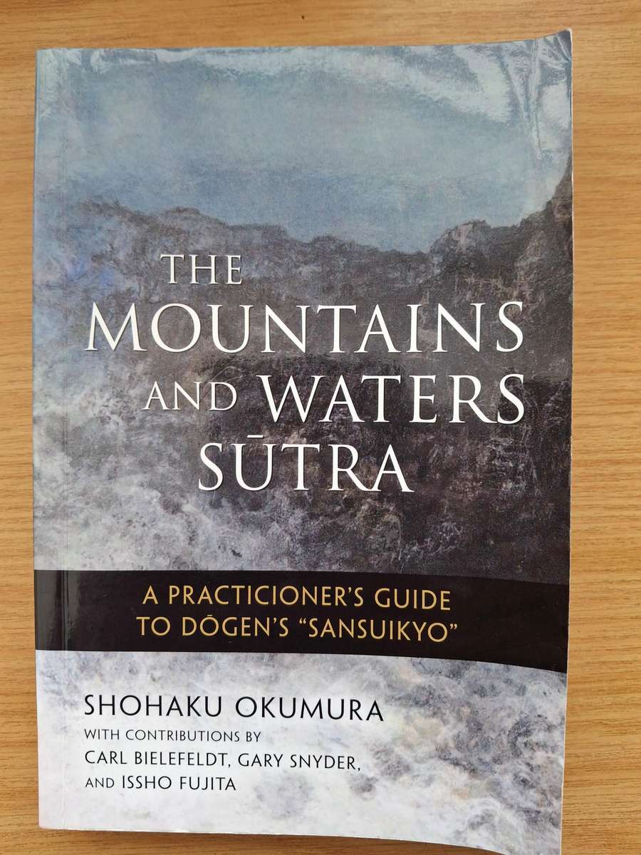 The Mountains and Waters Sutra by Shohaku Okumura
