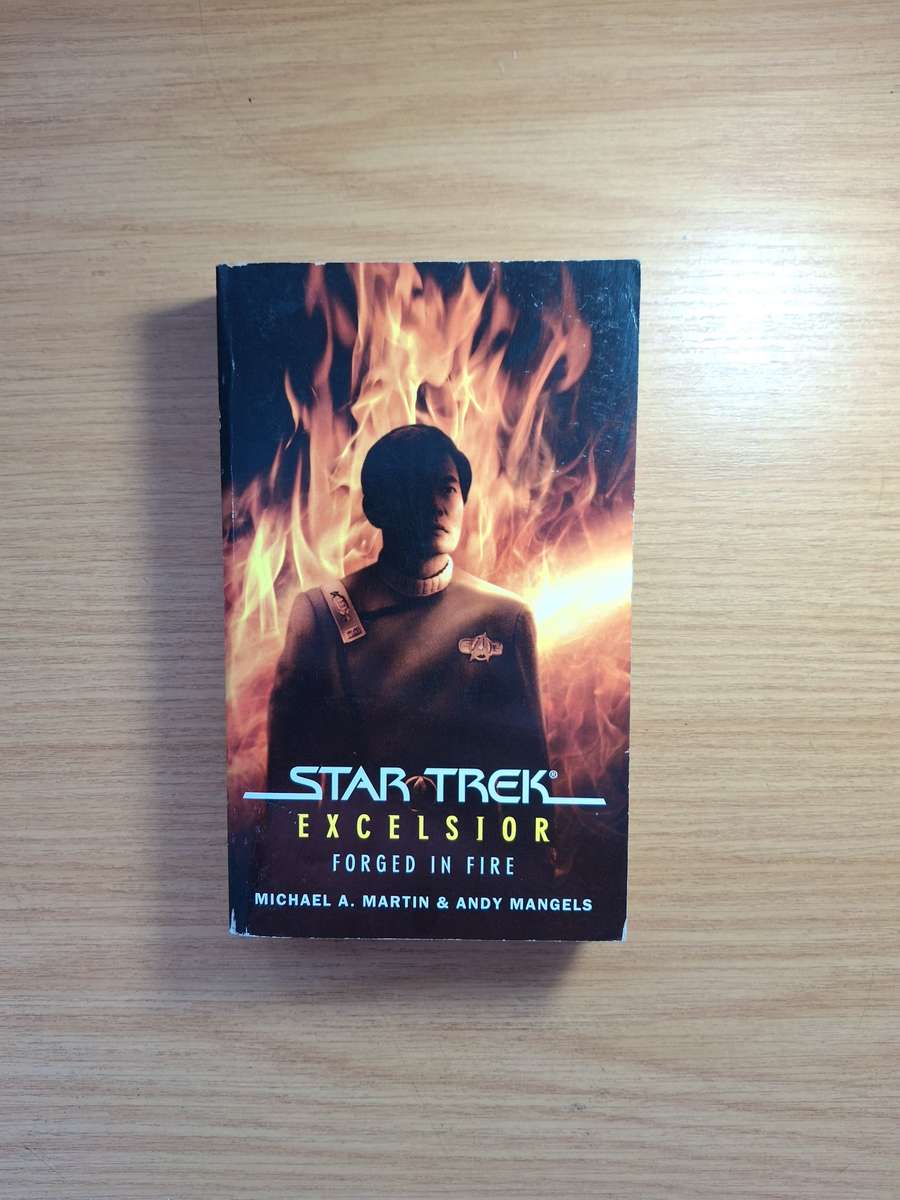 Star Trek Excelsior: Forged in Fire