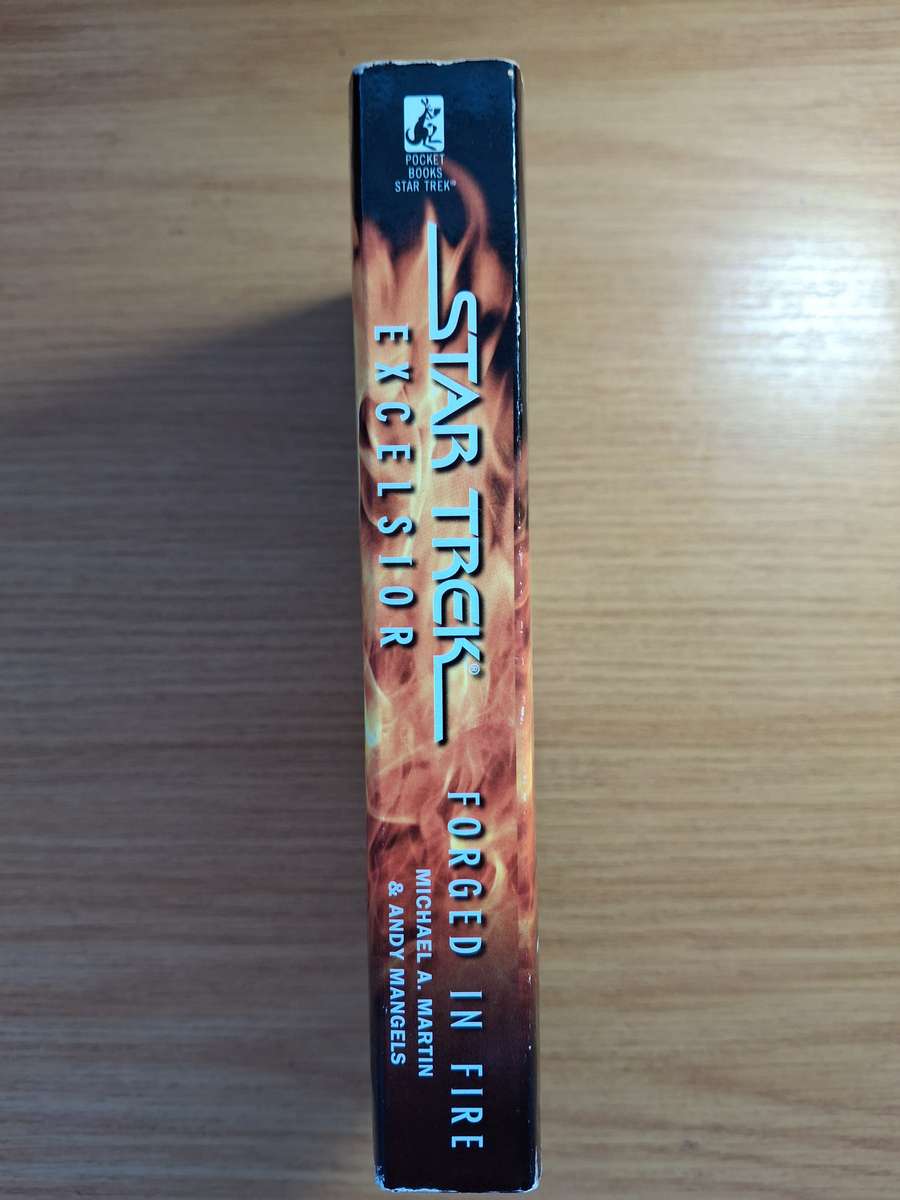Star Trek Excelsior: Forged in Fire