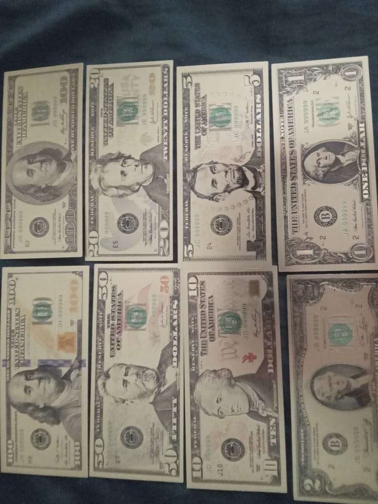 Gold Plated US $ & Euro