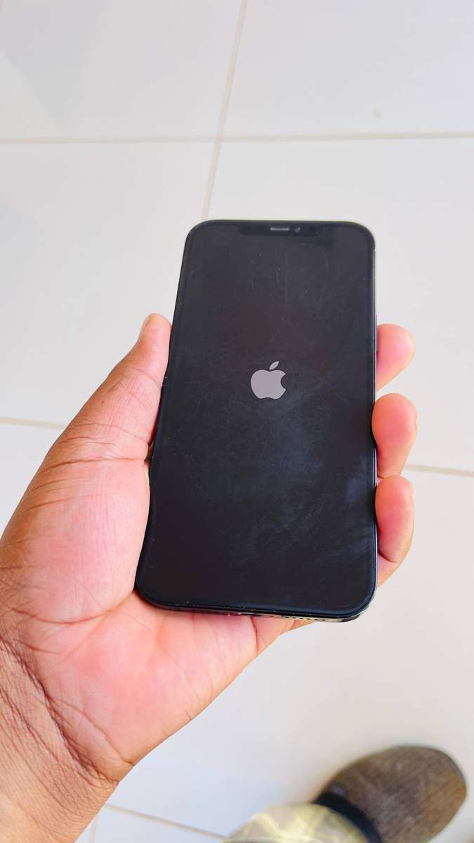 iPhone 12 Pro Max 256GB
