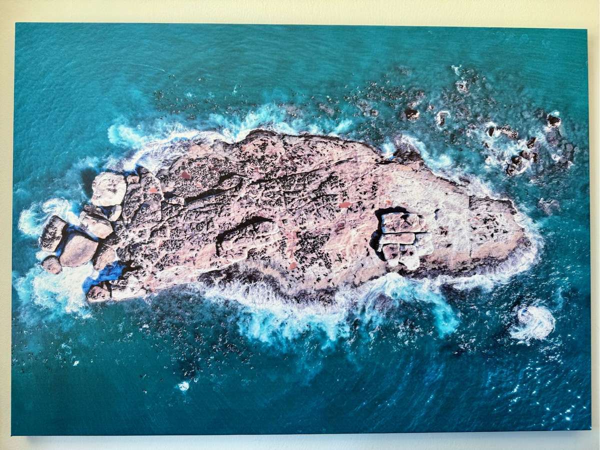 Large Canvas of Seal Island in Mossel Bay (84cm x 60cm) NEW