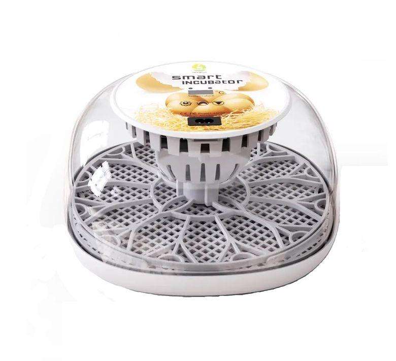 12 Egg Incubator Transparent