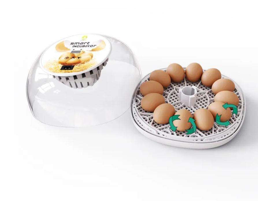 12 Egg Incubator Transparent